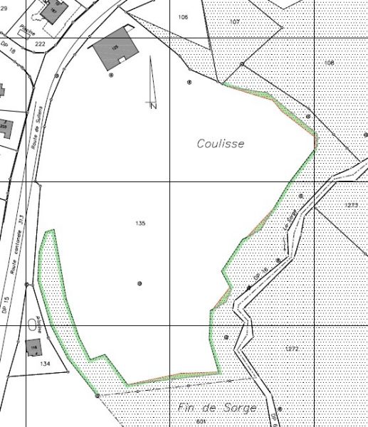 Extrait   releve lisiere forestiere